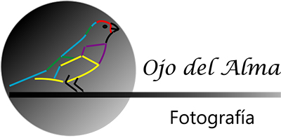 Logo ojo del alma
